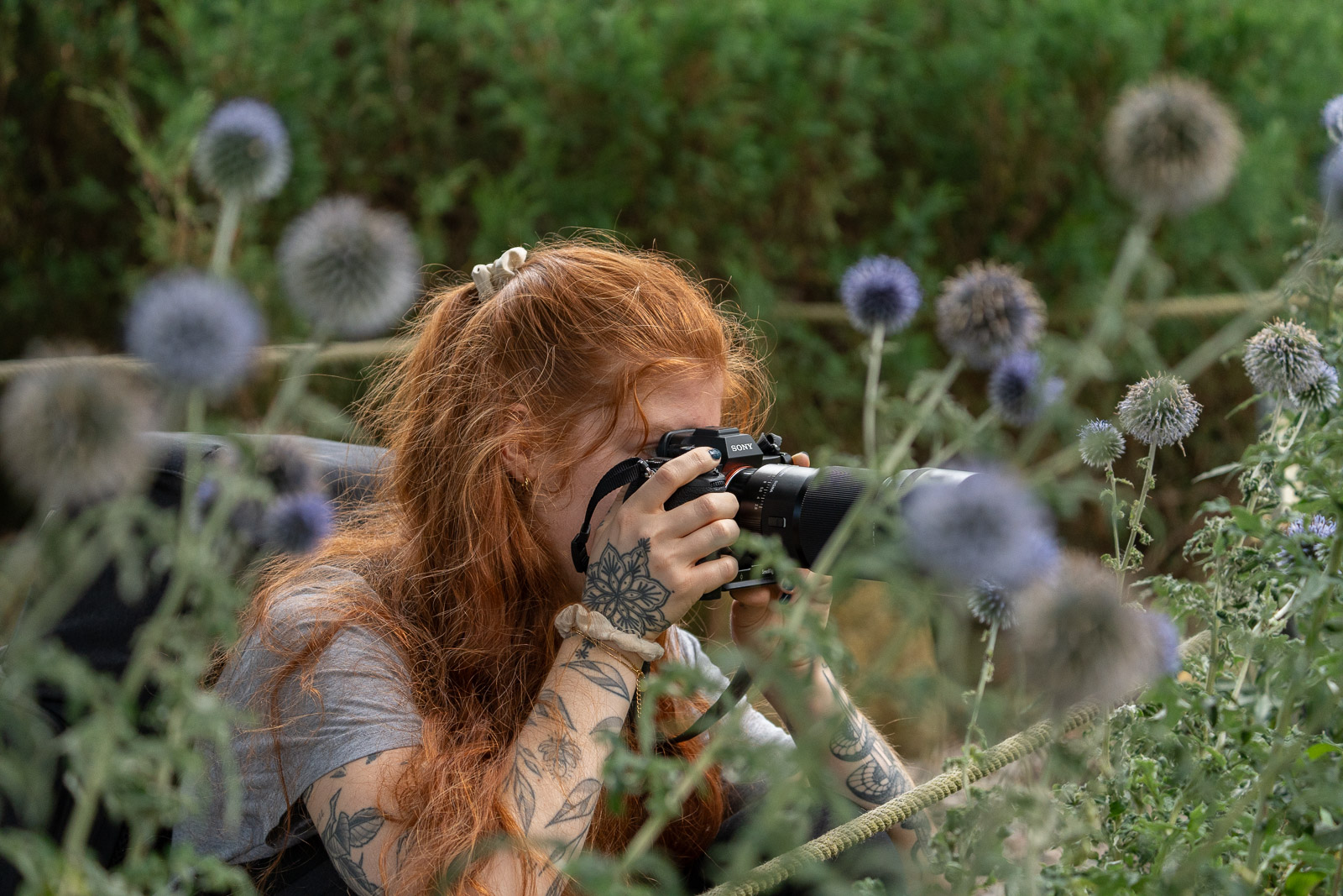 Michelle – NorrShutter