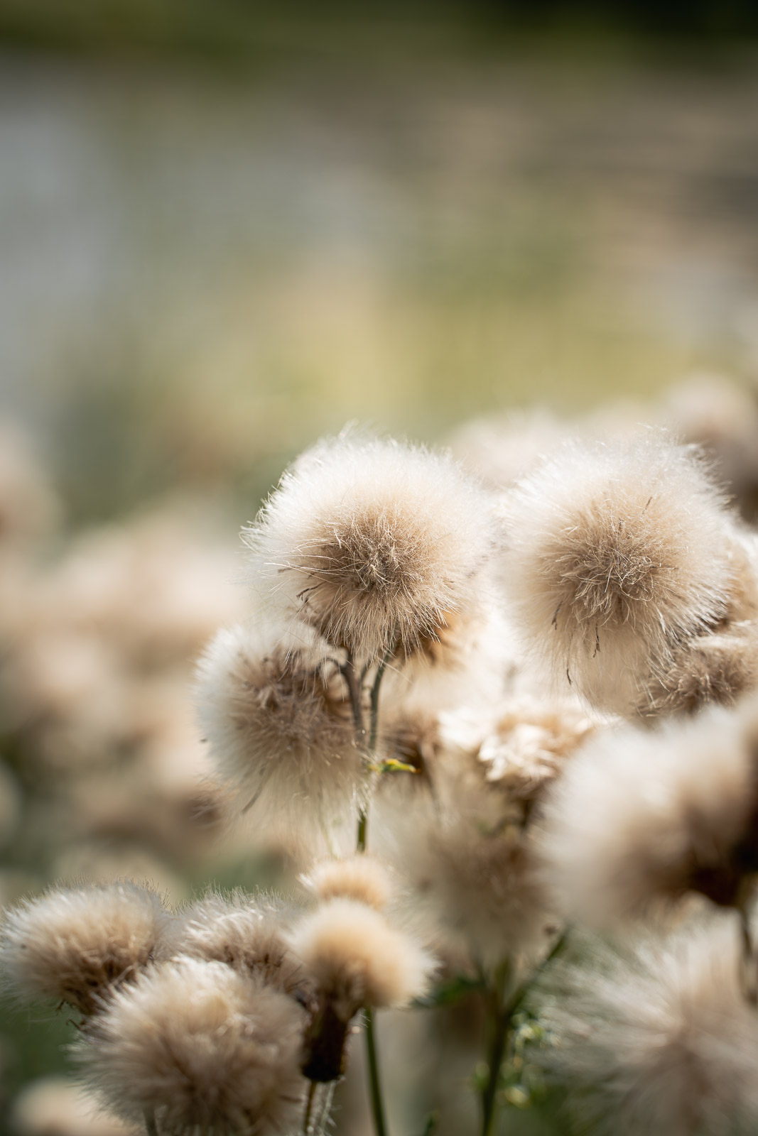 Landschaft und Langzeitbelichtungen