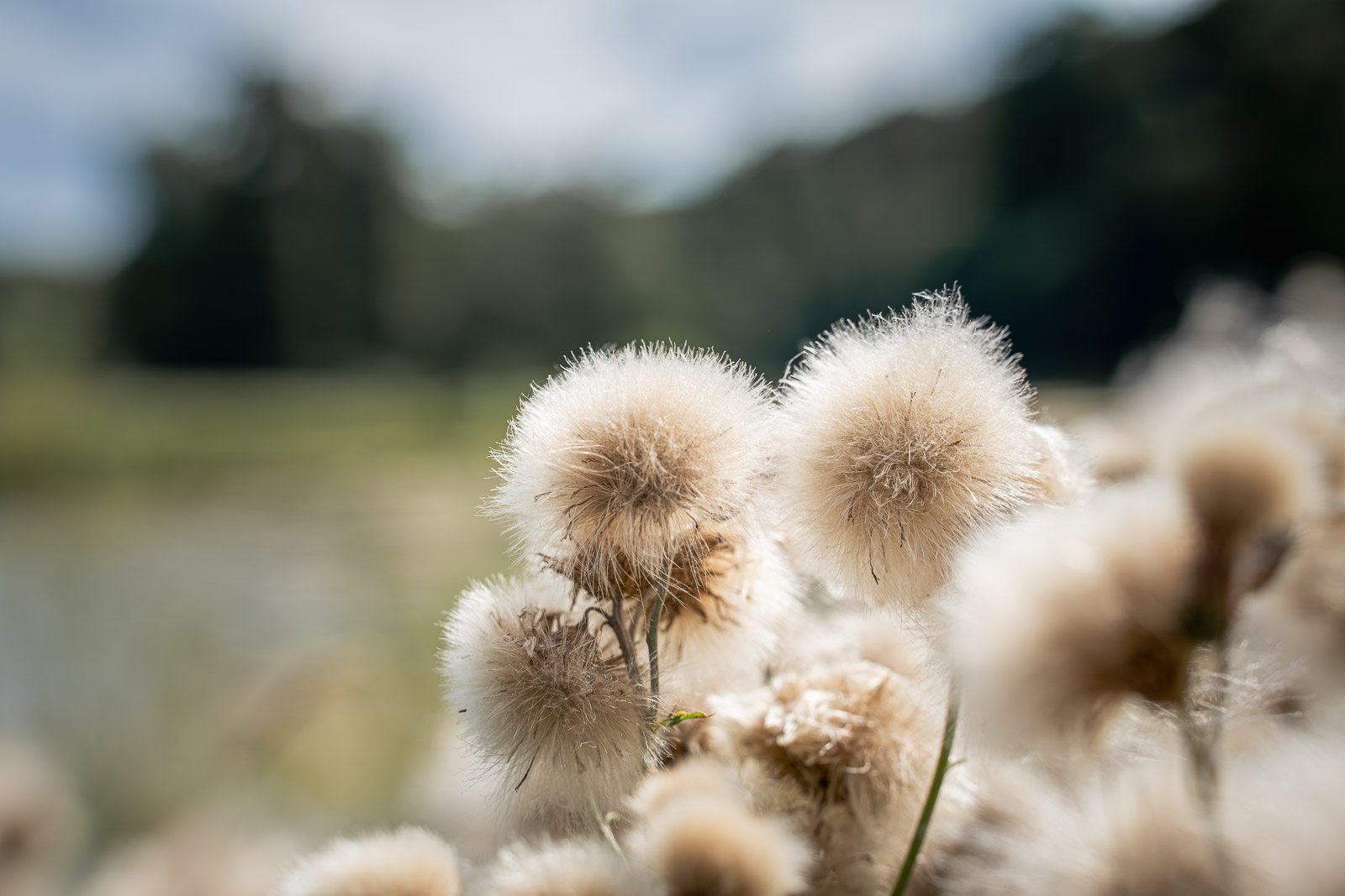 Landschaft und Langzeitbelichtungen