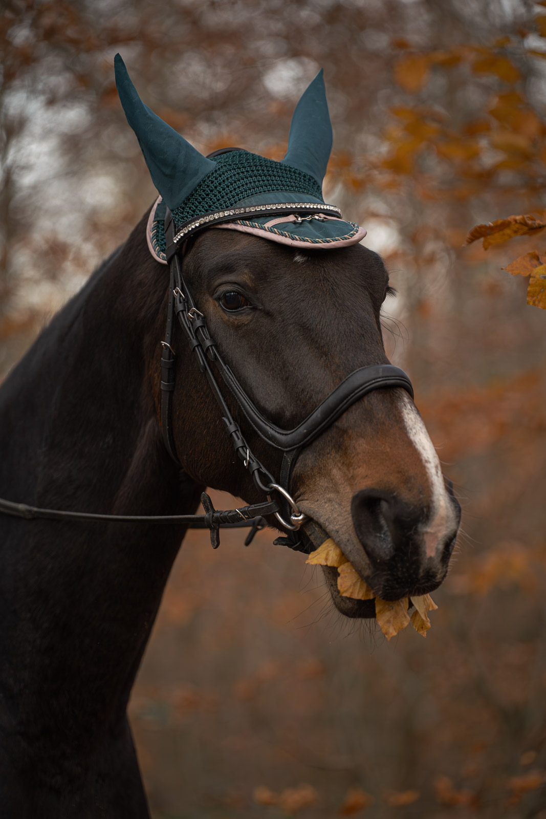 Nika – Leaves & Hooves