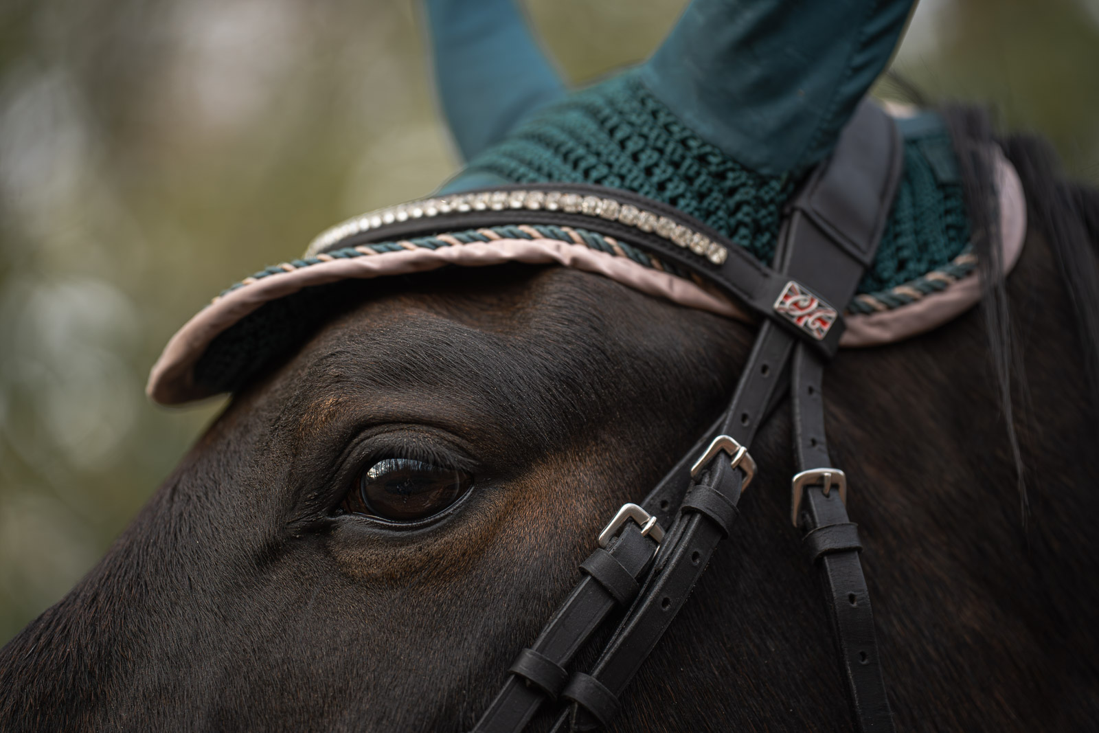 Nika – Leaves & Hooves