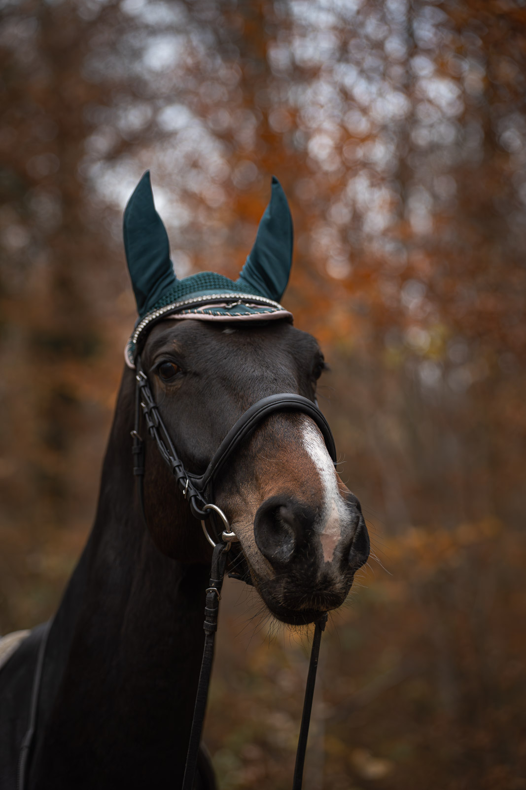 Nika – Leaves & Hooves