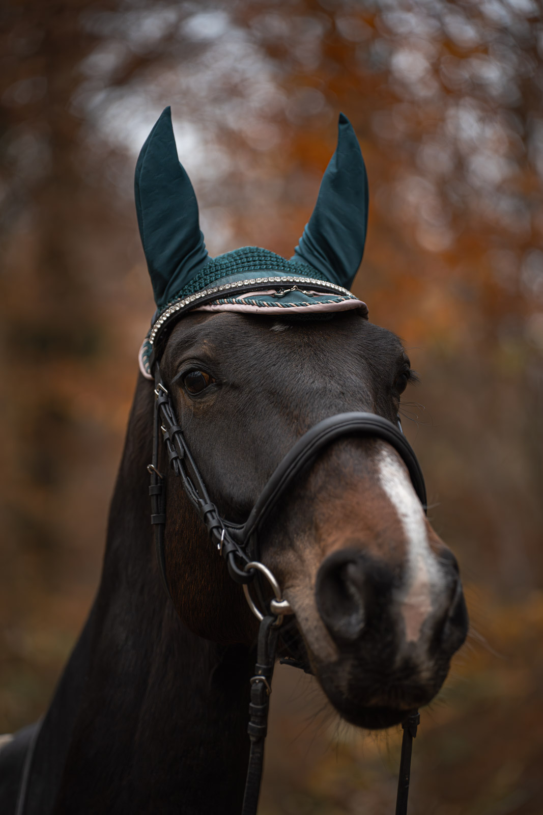 Nika – Leaves & Hooves